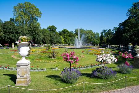 Sommerfest 2019 #261